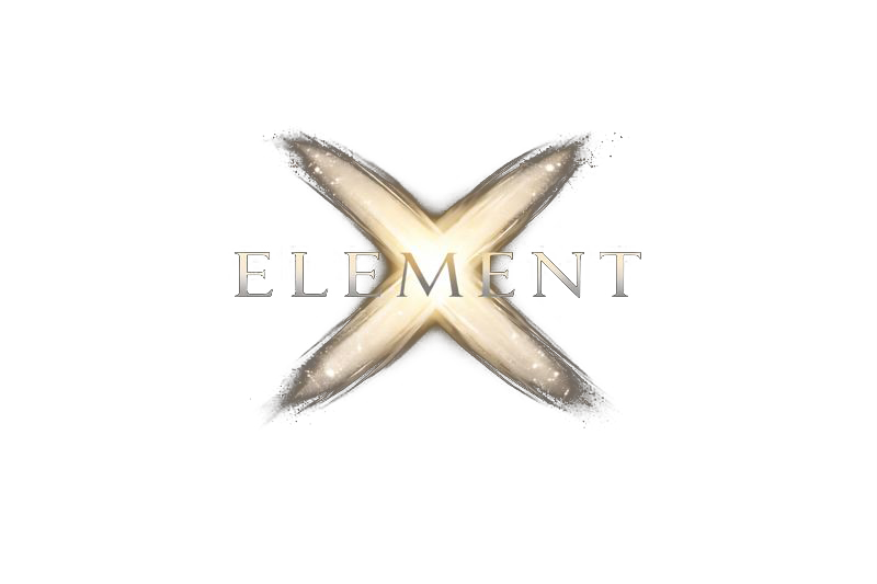Element X · Organizer